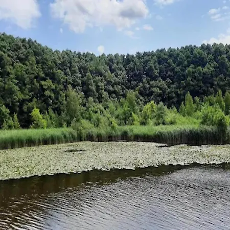 Mit Sauna Im Mirow *