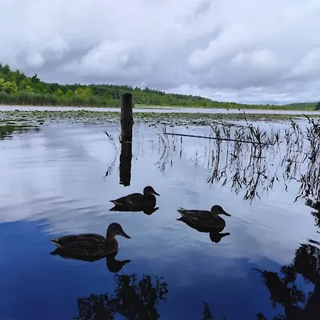 Mit Sauna Im Mirow Hébergement de vacances Granzow