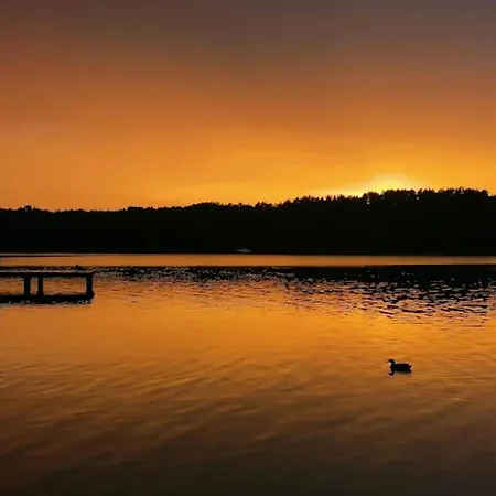 Mit Sauna Im Mirow *